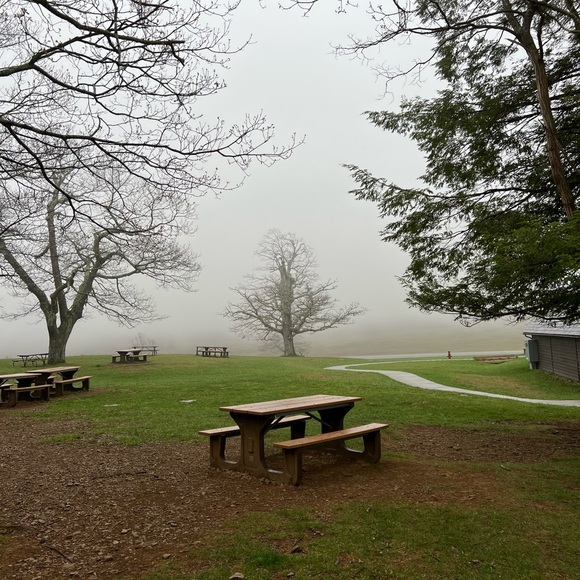 Meet your Posher, Samantha - Picture 16 of 17